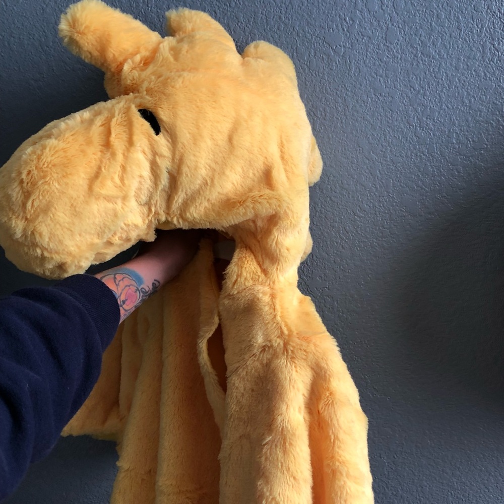 Pottery barn Costume